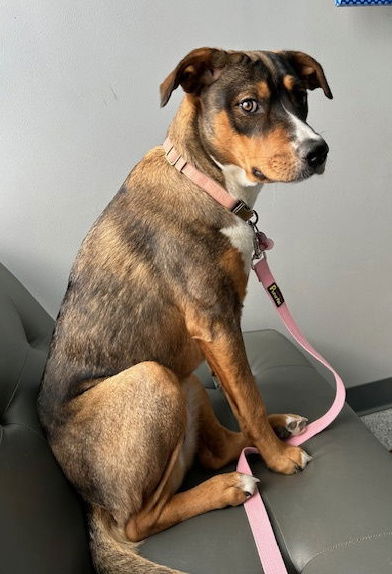 Athena aka Ruby