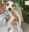 Jackson aka Bogey