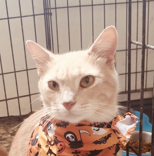 Elliot aka Buzz