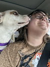 Stubby (Foster in PA)