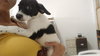 Snoopy