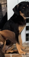 Cloe (Coming Soon)