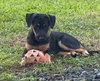 Cloe (Coming Soon)
