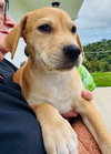 Clifford (Foster in PR)