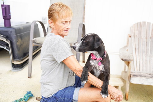 Photo 5 of Bunny (Foster in PR)