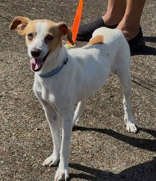 Tim (Foster in PR)
