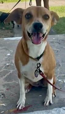 Sally Foster In Pr