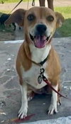 Sally (Foster in PR)