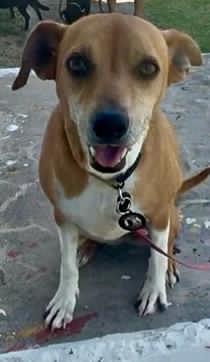 Photo 5 of Sally (Foster in PR)