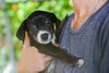 Mike (Foster in PR)