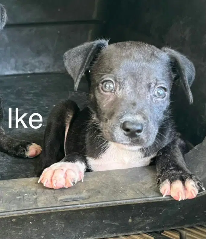 Ike - Unknown