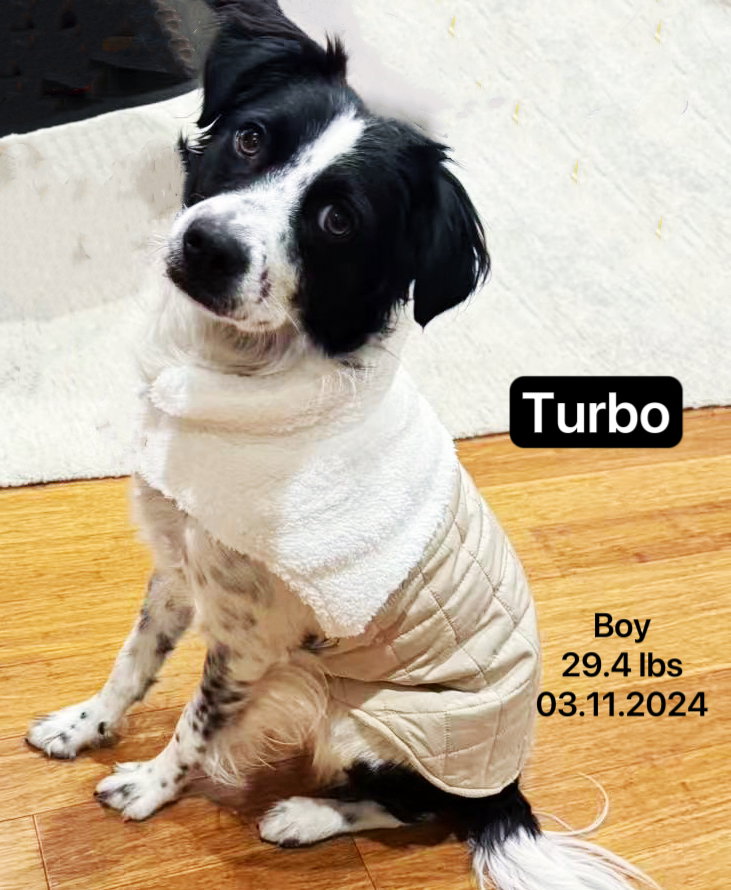 Turbo