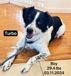 Turbo - Photo 4