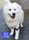 Moon - Photo 4