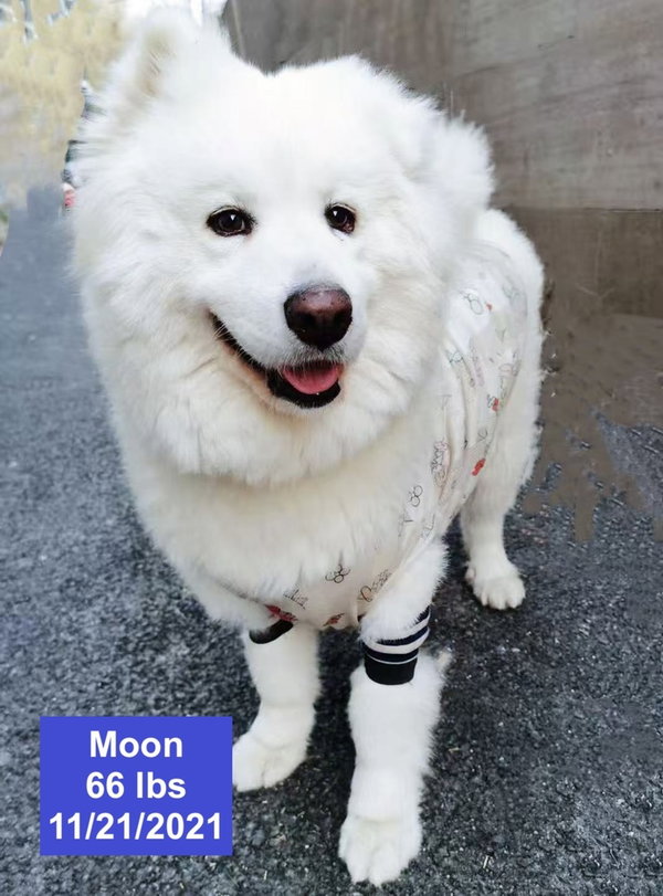 Moon