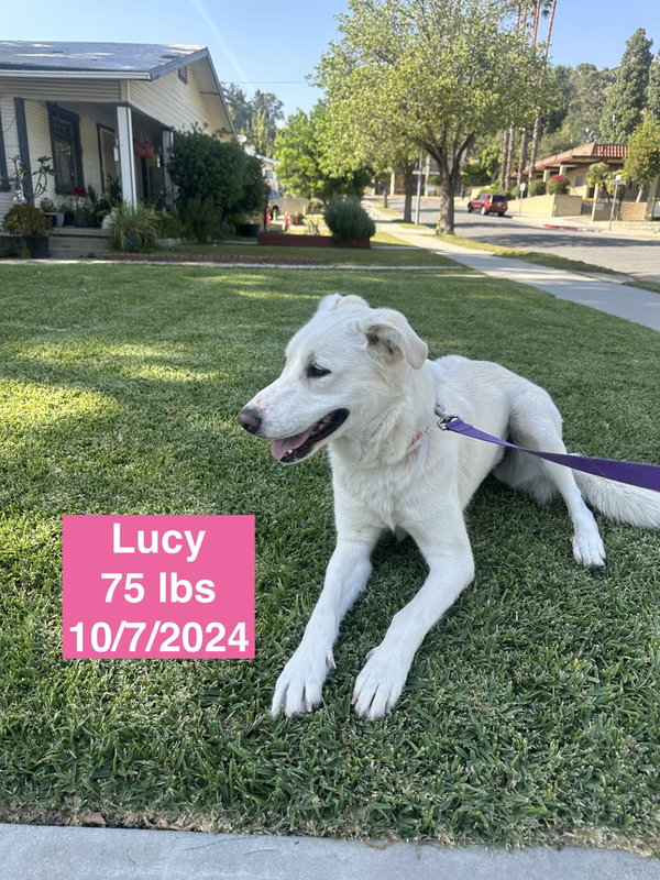 Lucy