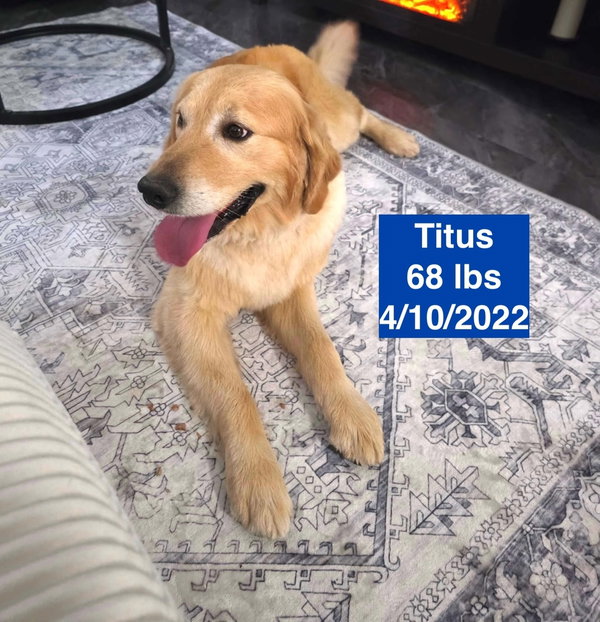 Titus