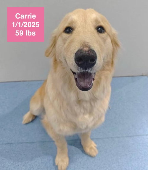 Carrie
