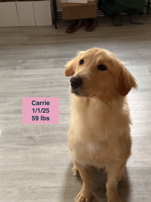 Carrie