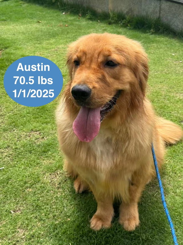 Austin