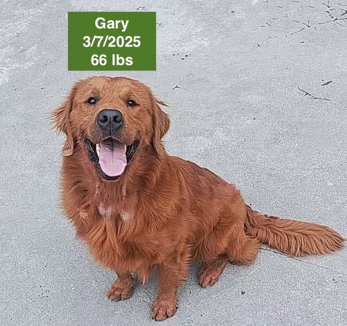 Gary