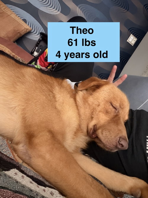 Theo photo 2