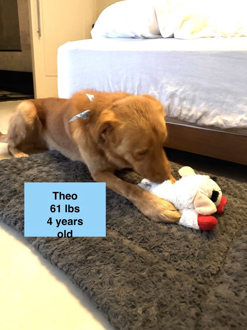 Theo photo 3