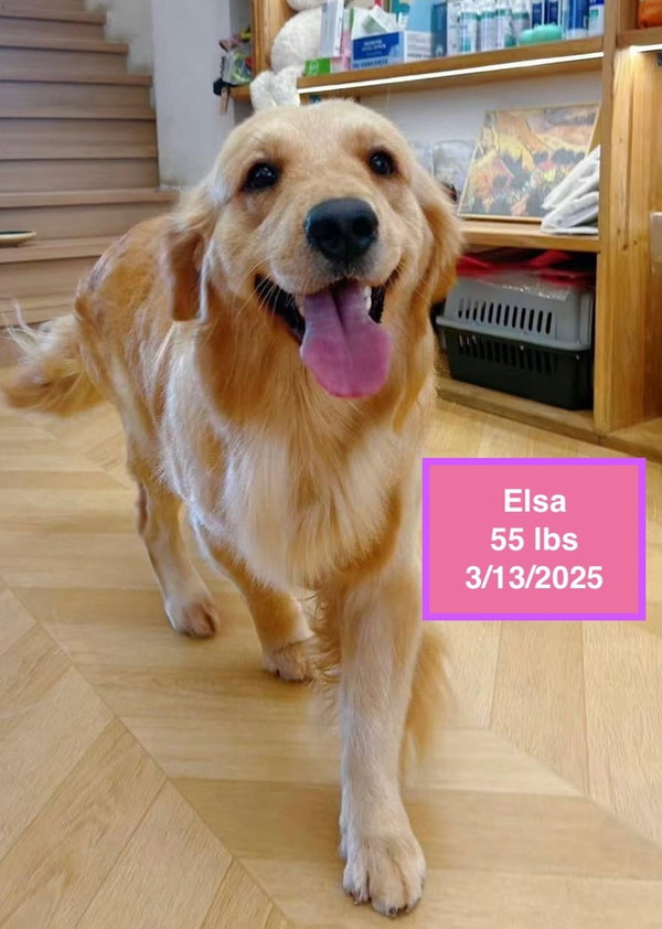 Elsa