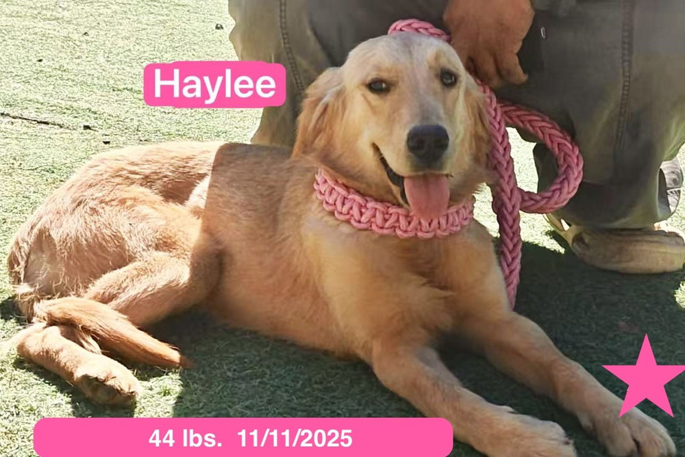 Haylee, photo 2