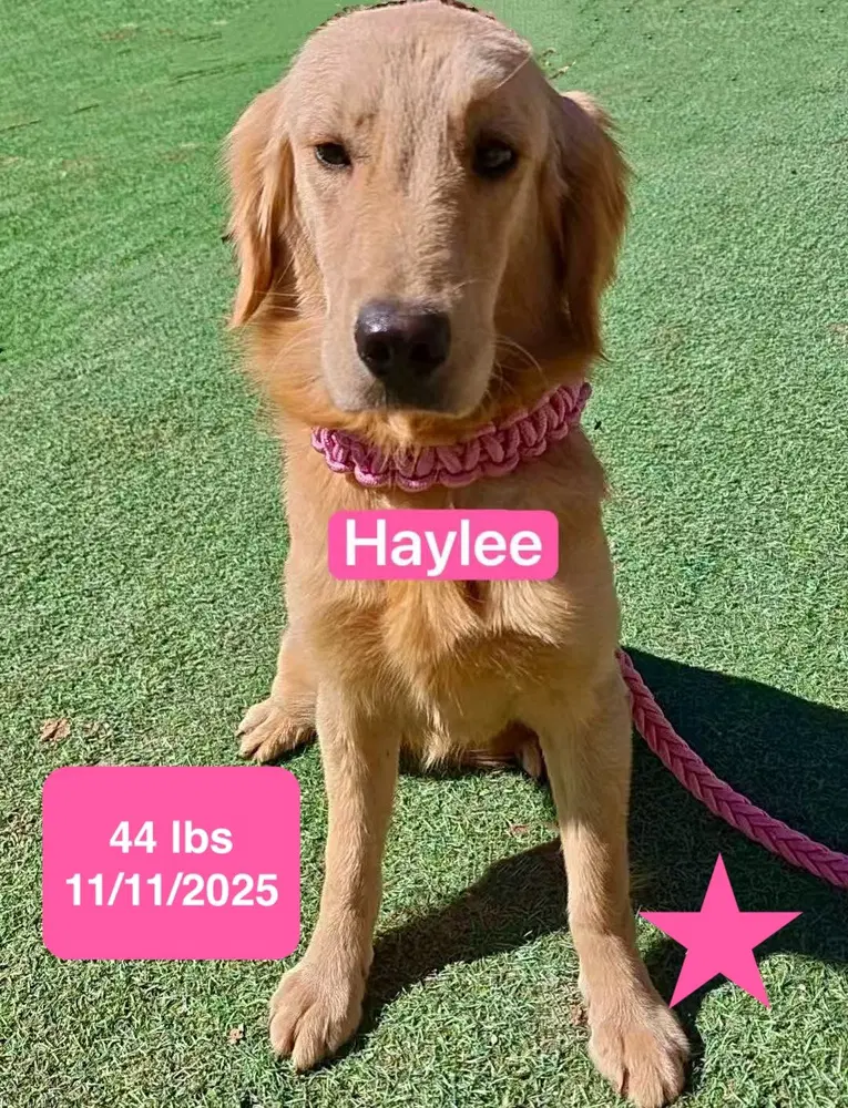 Haylee image 3
