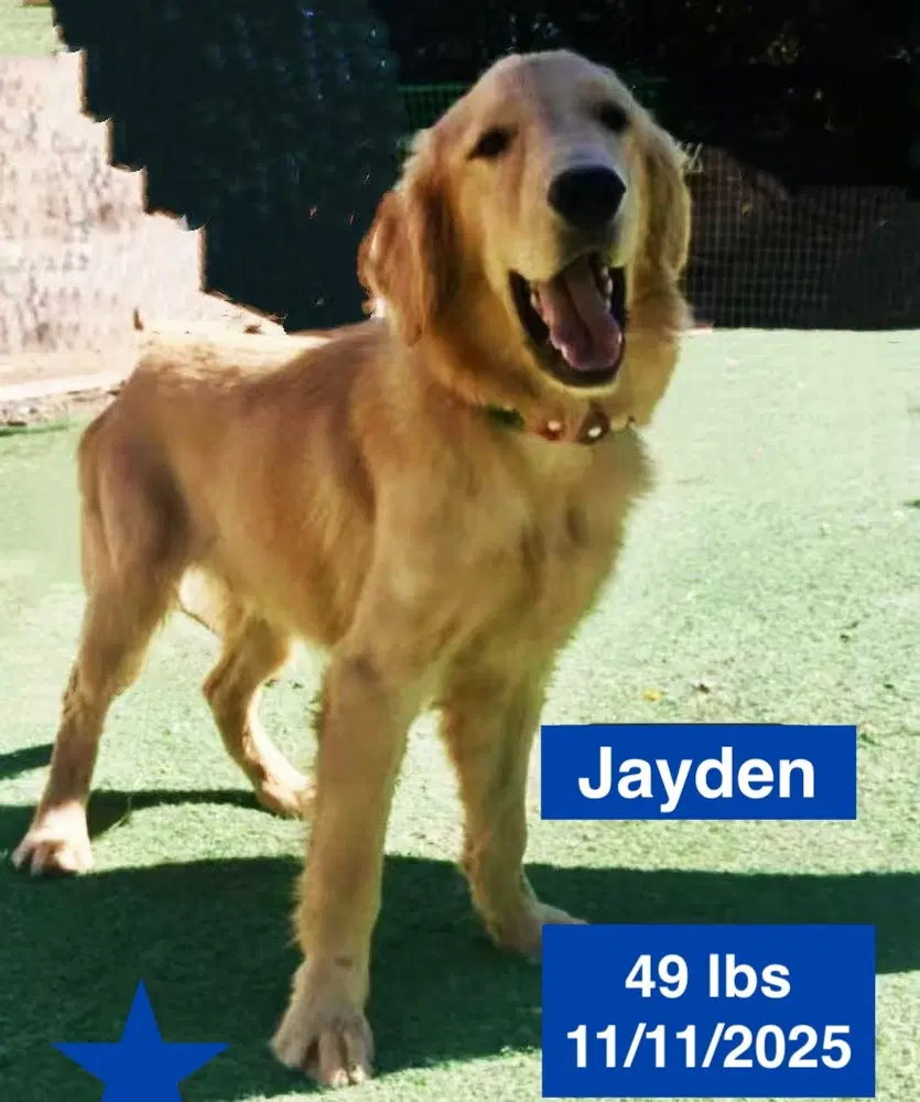 Jayden image 2