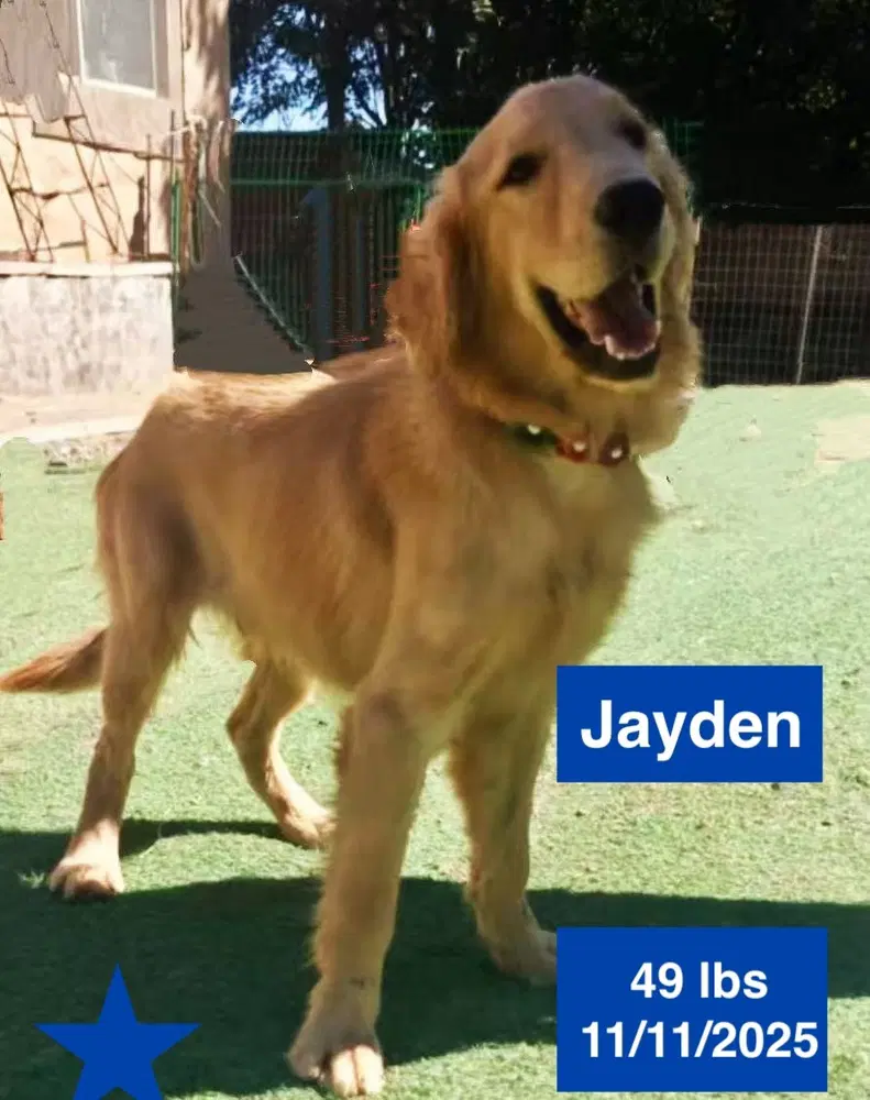Jayden image 3