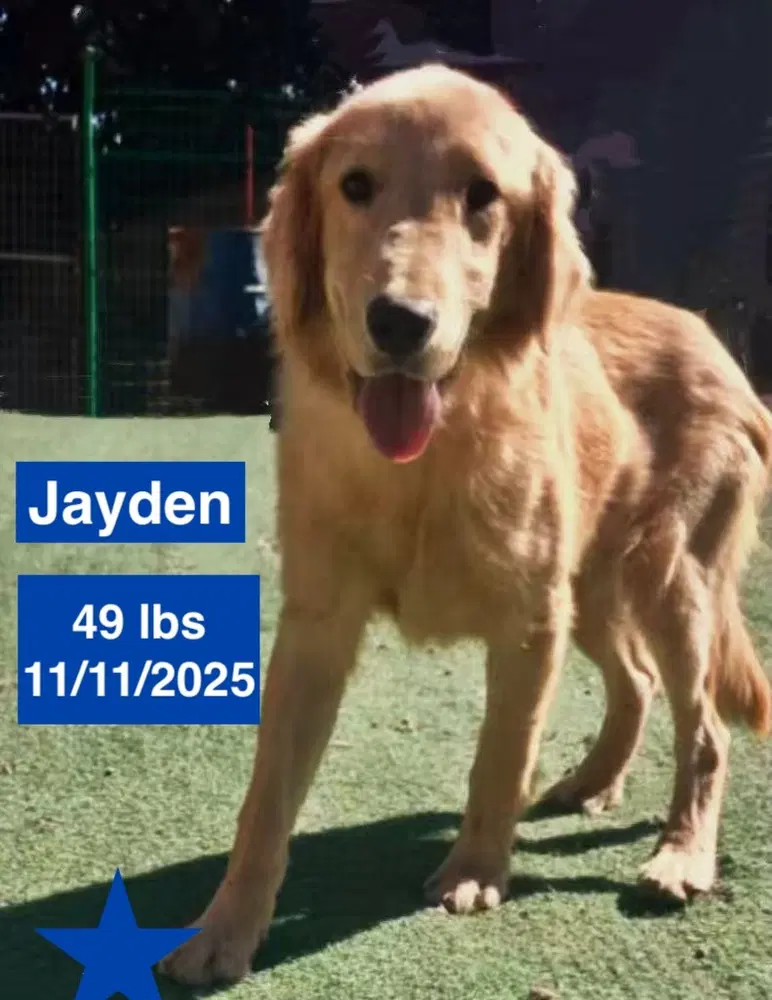 Jayden image 4
