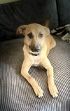 Lulu - Photo 3