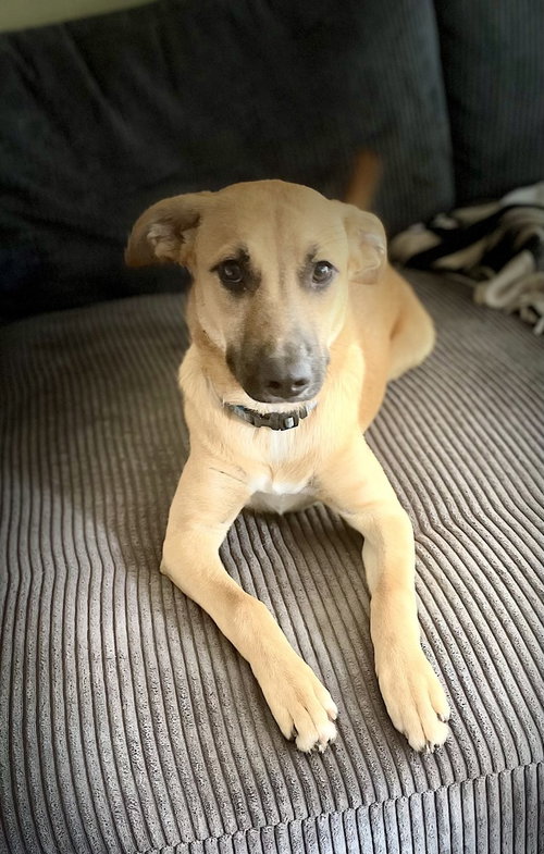 Lulu photo 3