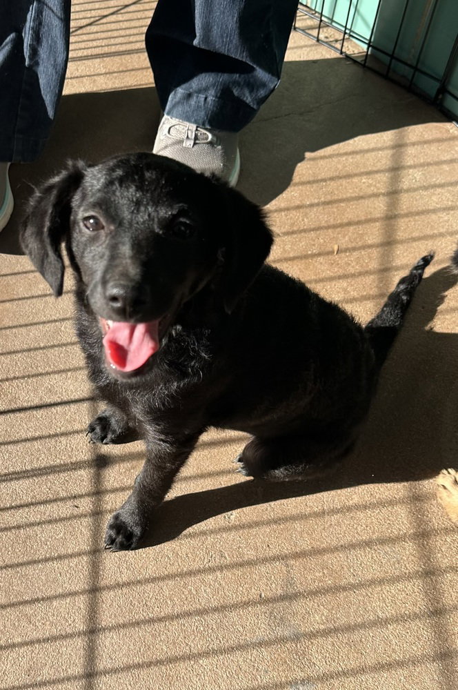 Coco