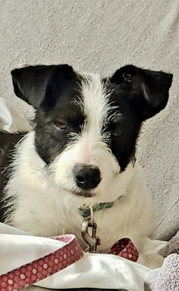 Opal aka Gladys Image