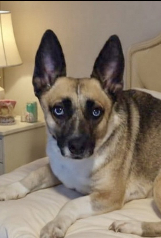 Henrietta aka Henny
