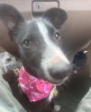 Penelope - Photo 2