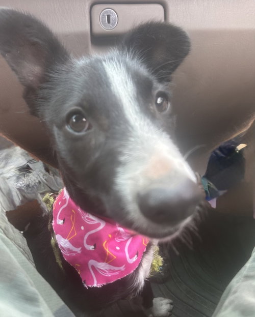 Penelope photo 2
