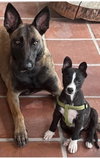 Penelope - Photo 4