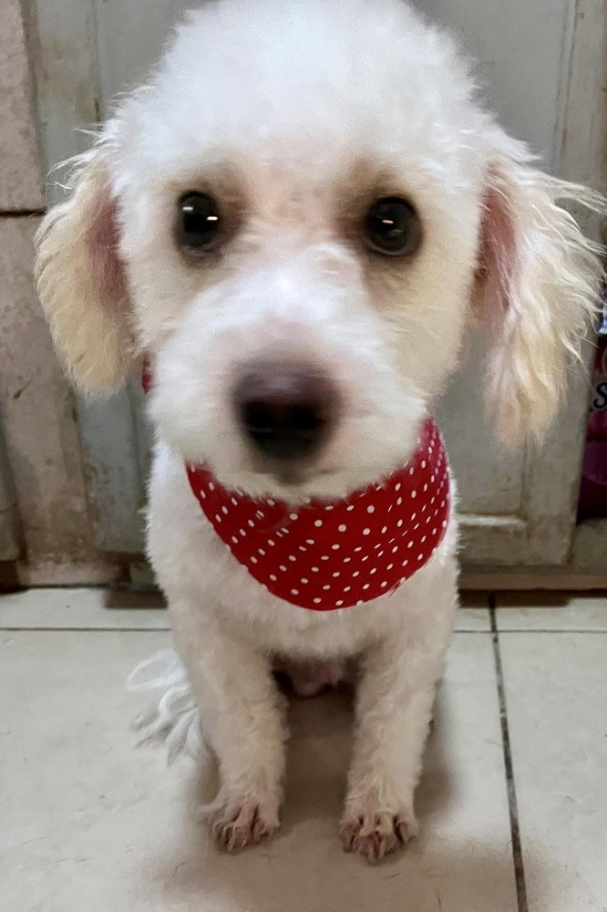 Milo