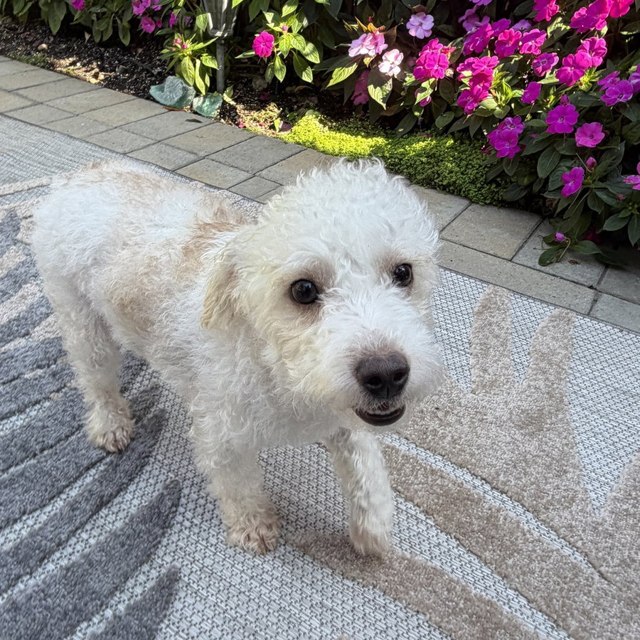 Milo