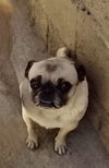 Georgie Girl - Photo 1