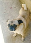 Georgie Girl - Photo 3