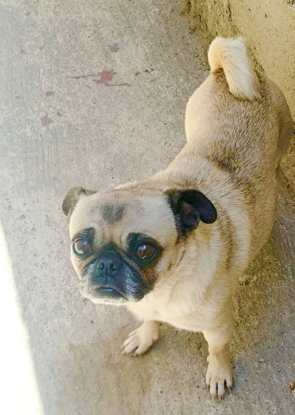 Georgie