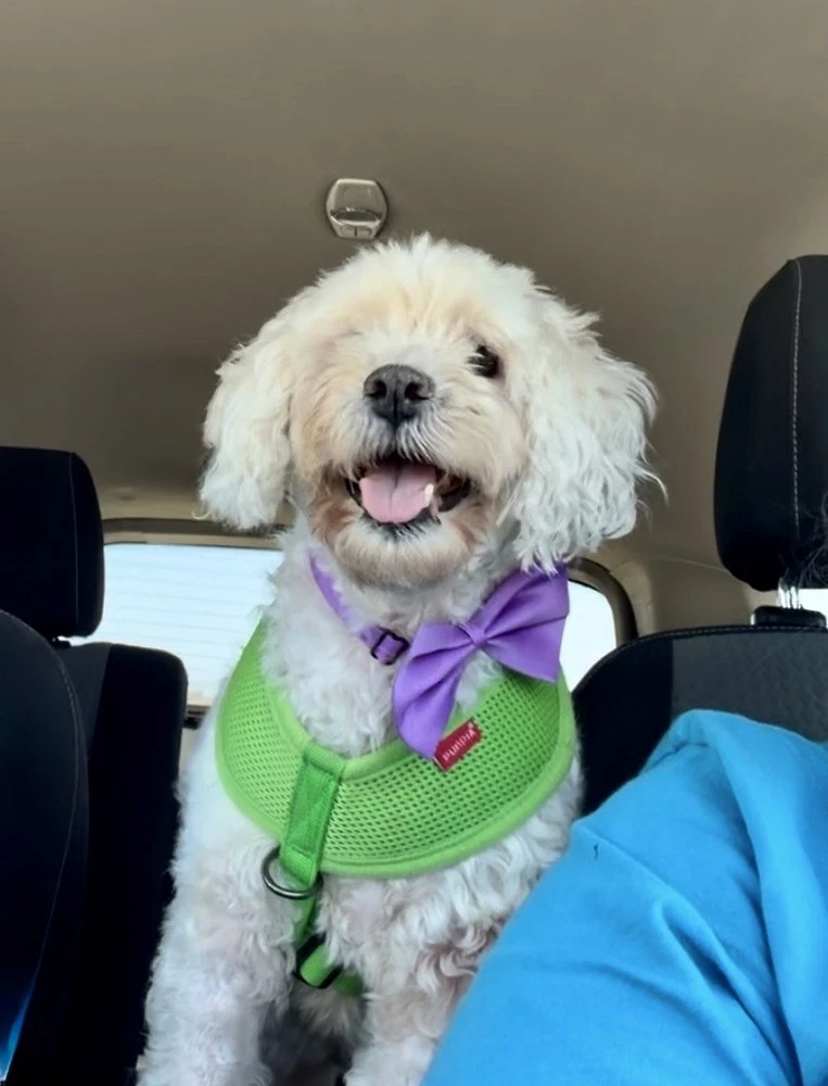 Bonnie