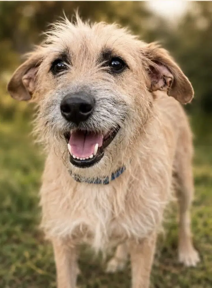 Zoe image 2