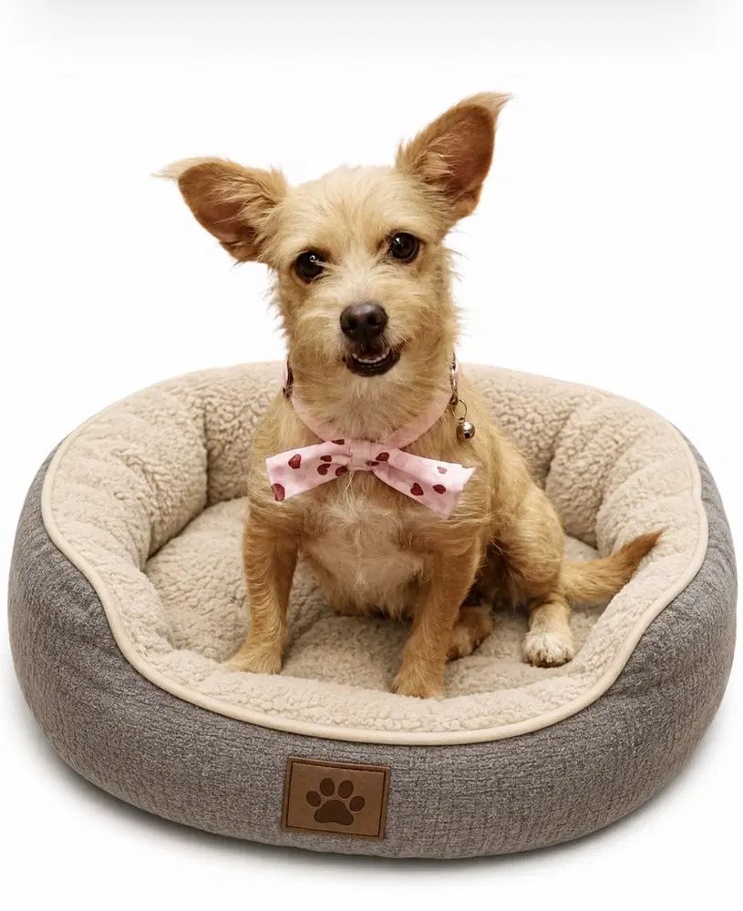 Peaches - Terrier