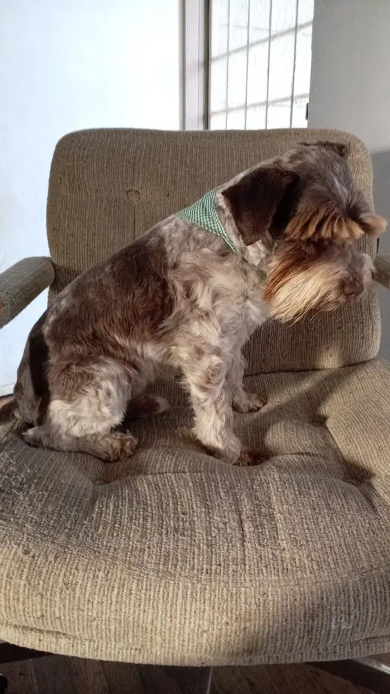 Theo image 3